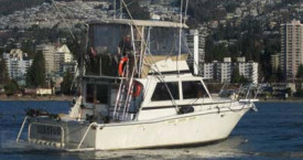 38 ft - Uniflite - Sportfisher