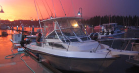 23ft - Grady White - Gulfstream