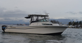 30 ft - Grady White - Marlin