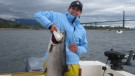 Fishing near Lions Gate Bridge